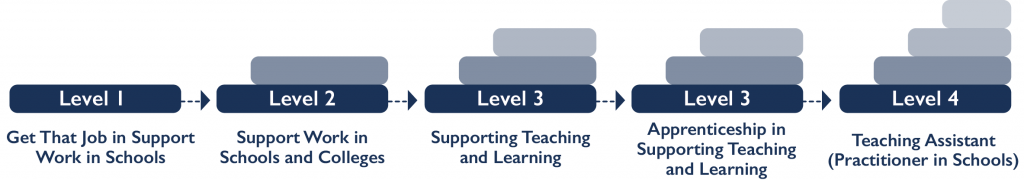 Adult learning courses to help you work in schools or colleges.